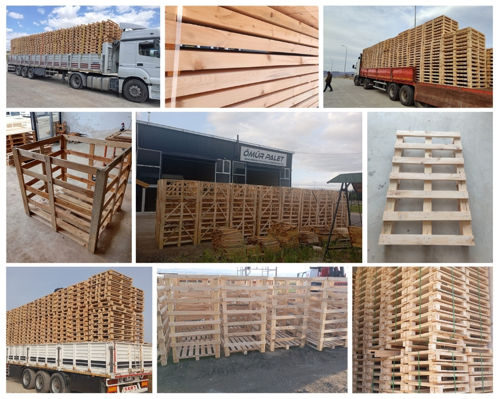 Saint Leonards Wooden Pallets, Buy Wooden Pallets Wholesale